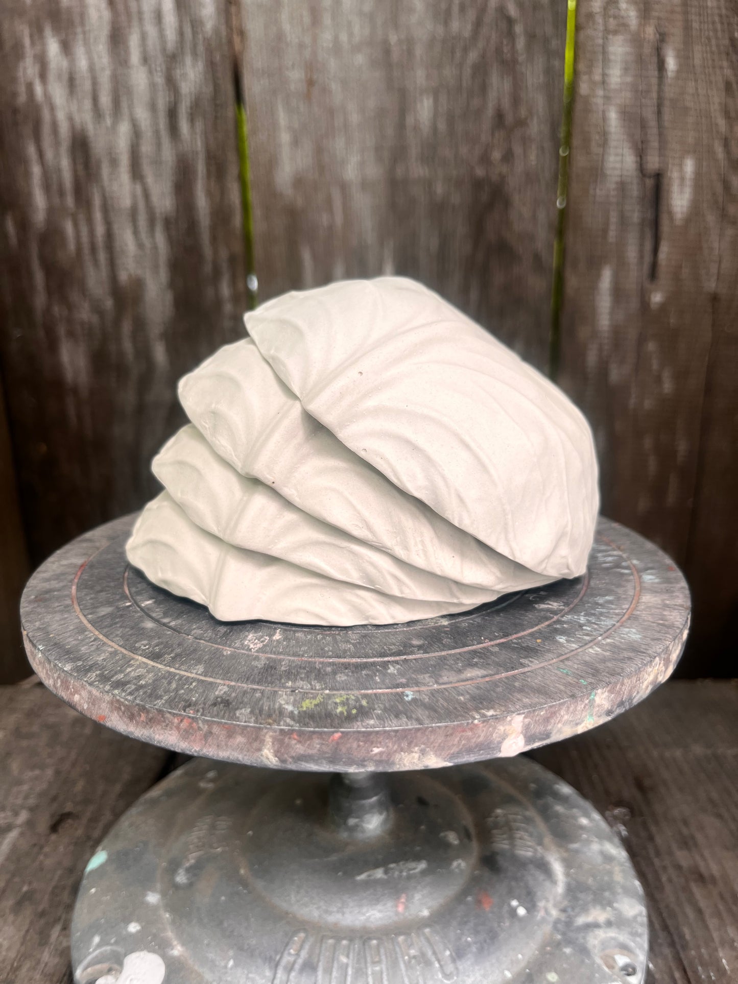 Cabbage Bowl
