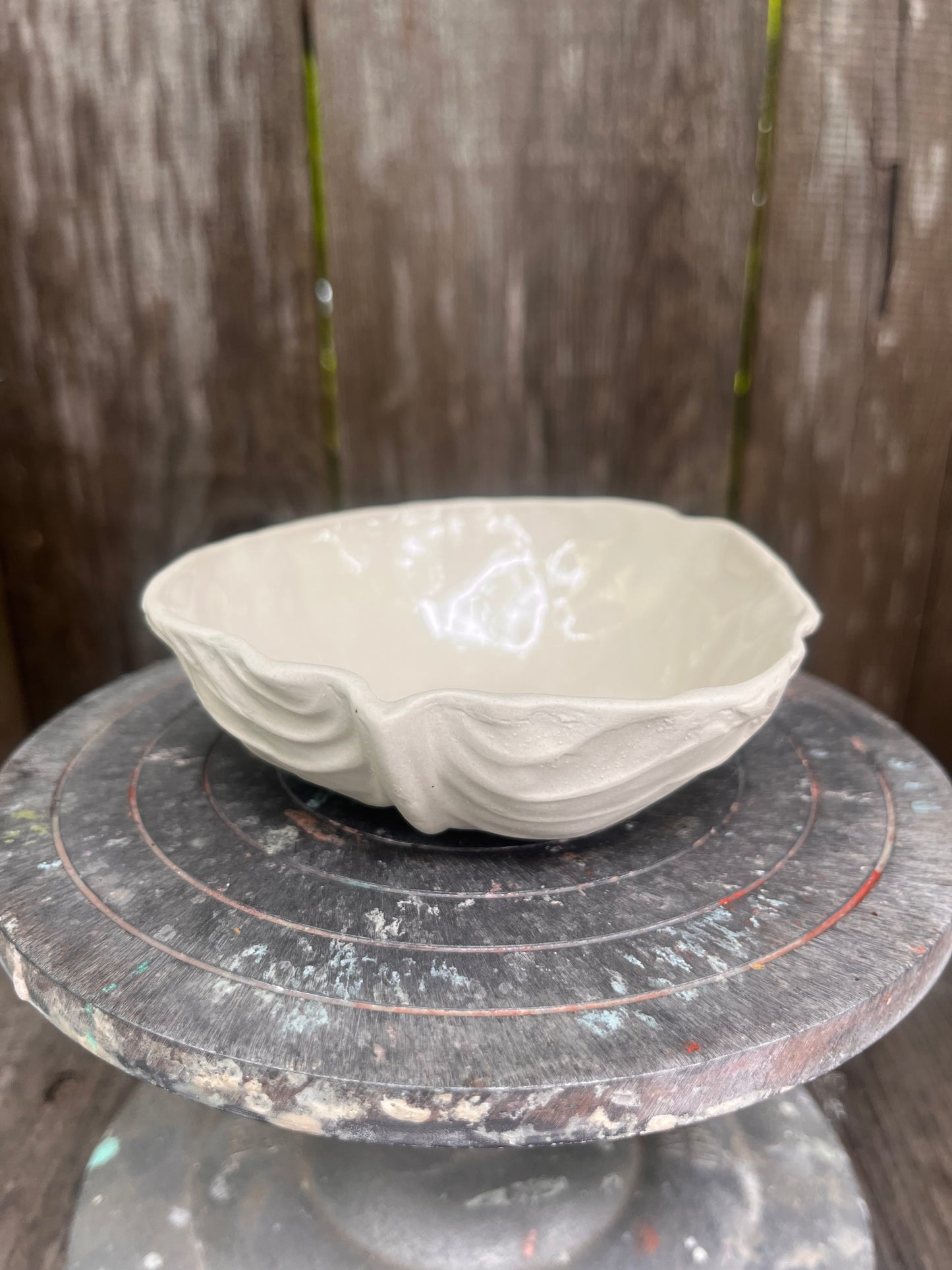 Cabbage Bowl