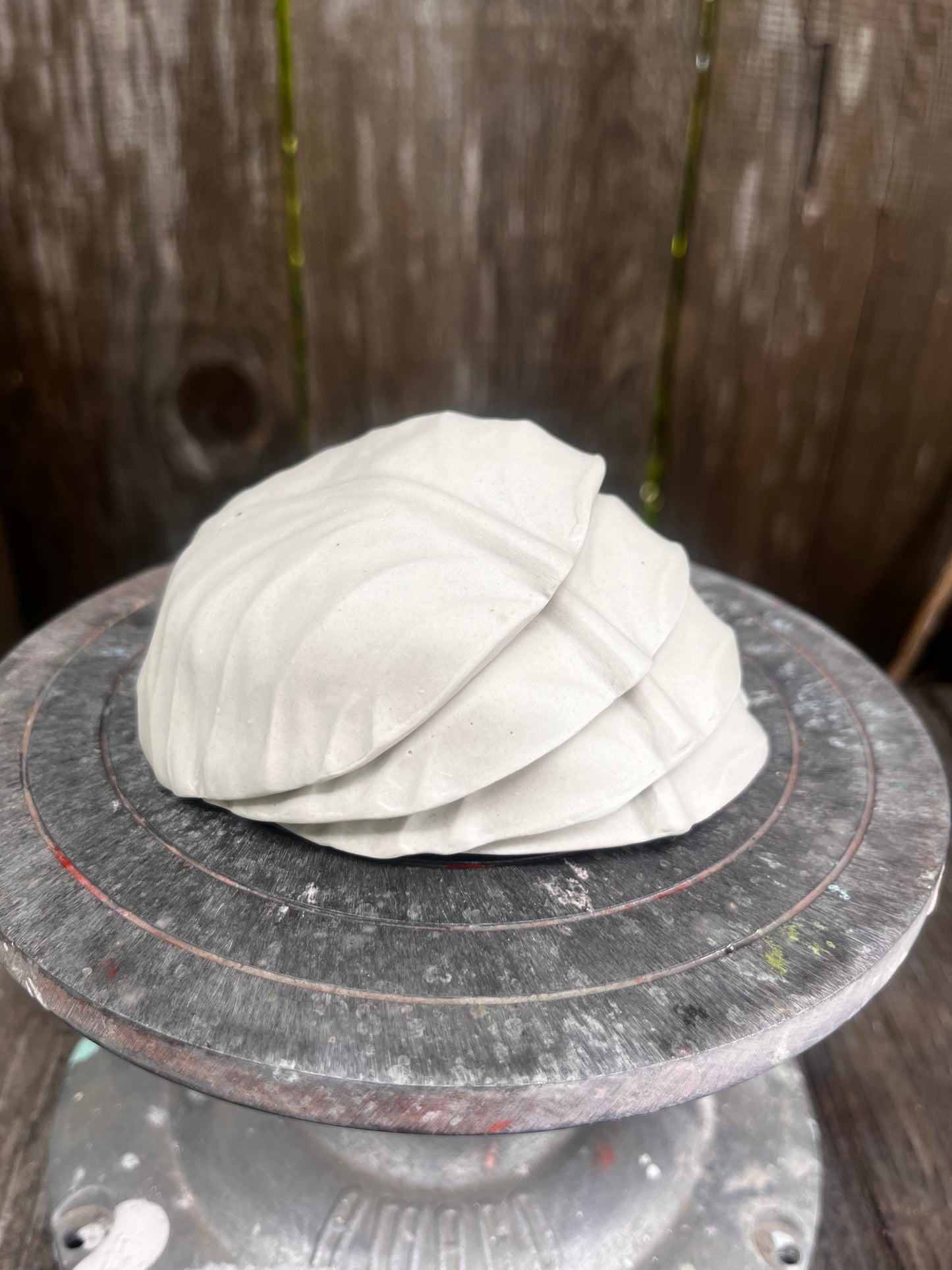 Baby Cabbage Bowl