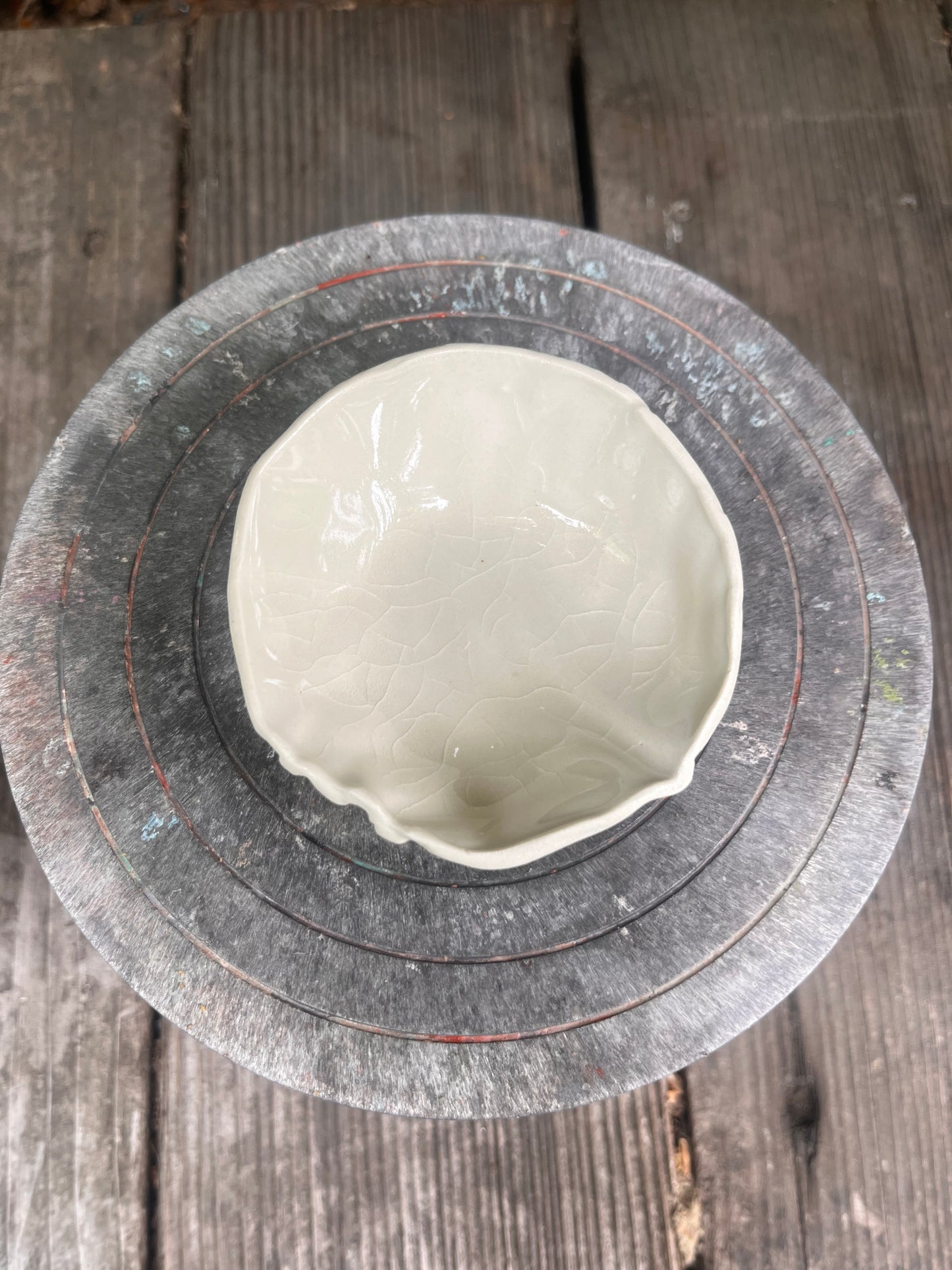 Baby Cabbage Bowl