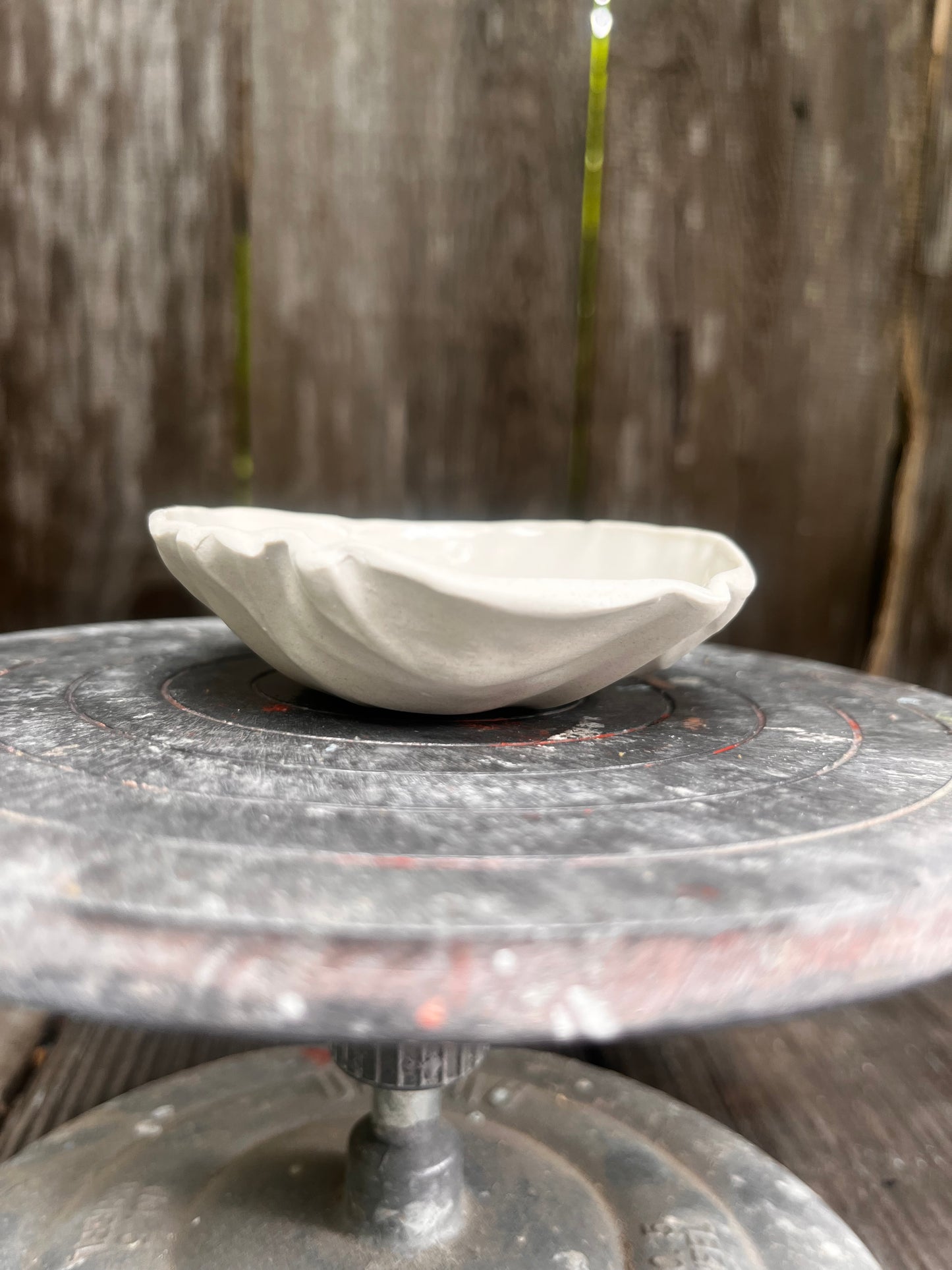 Baby Cabbage Bowl