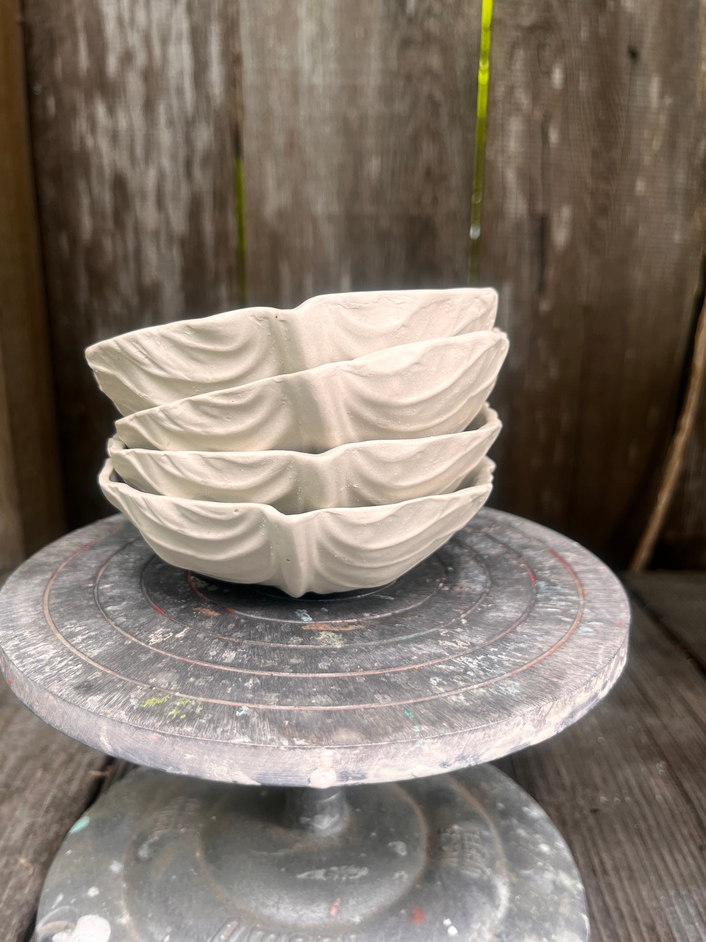 Cabbage Bowl