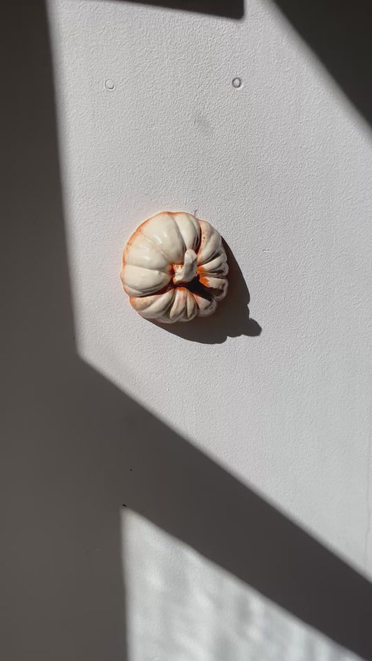 Heirloom Black Futsu Squash Hanger